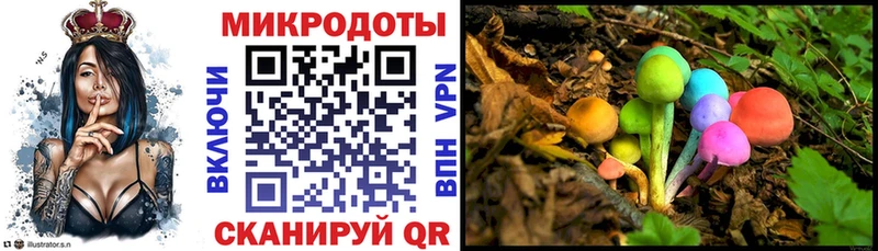 Псилоцибиновые грибы Psilocybe  Лихославль 